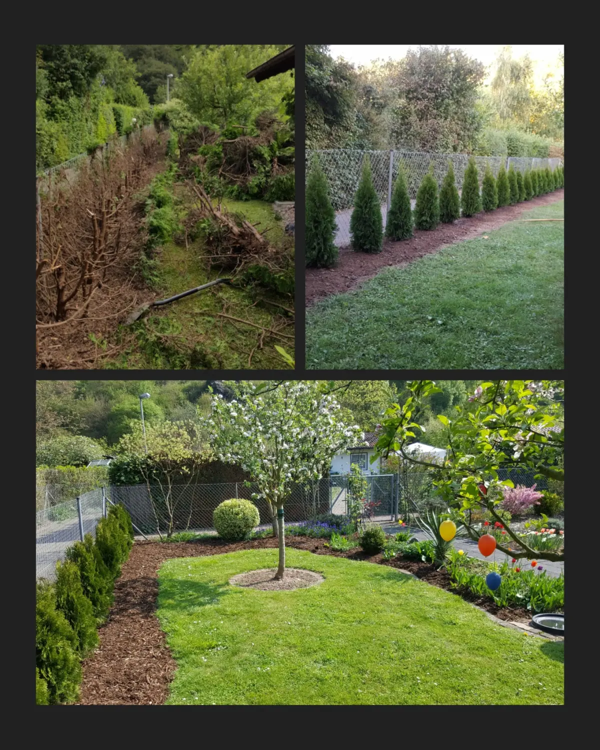 Gartenreinigung durch Herrn Thompson