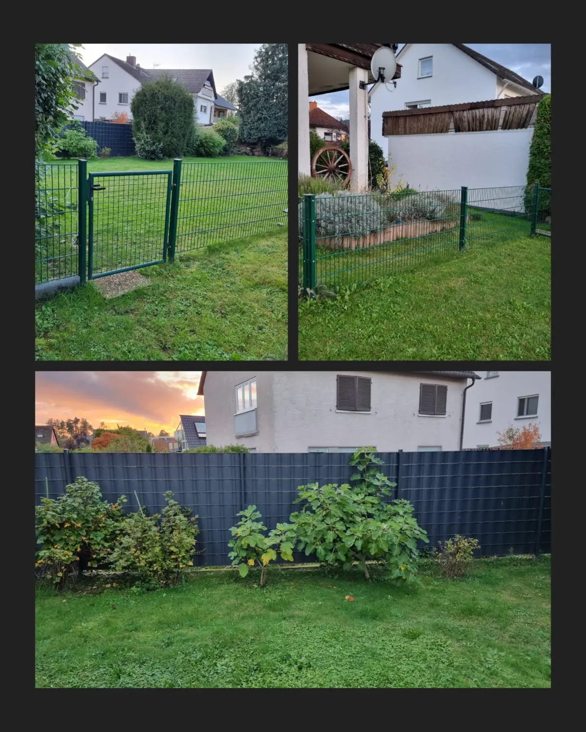 Gartenreinigung durch Herrn Thompson